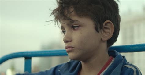 Watch Capernaum Online .
